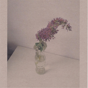 黑人囗交深唉吞精
